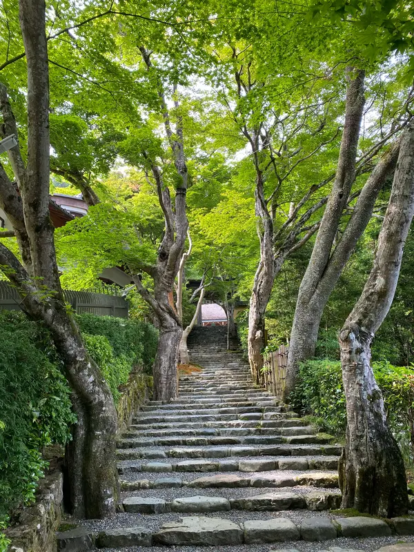 ◎門までの階段