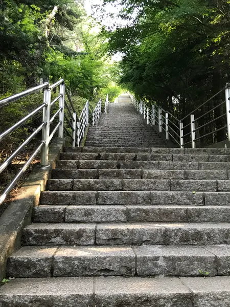 398(さくや)段の階段