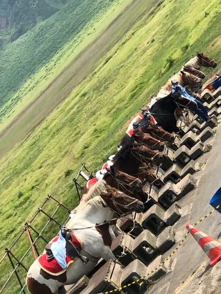 ぉ馬さん 待機してます