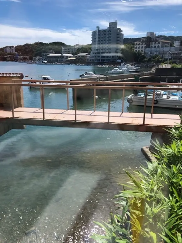 玄関からの景色