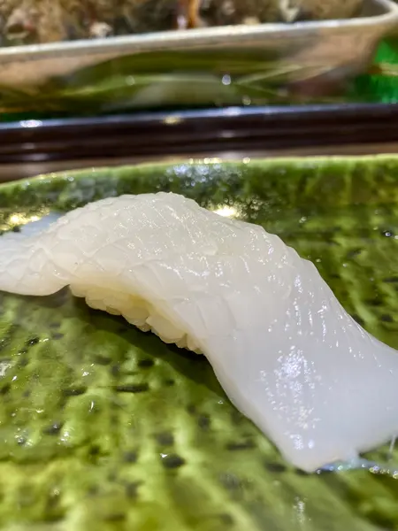 ヤリイカ