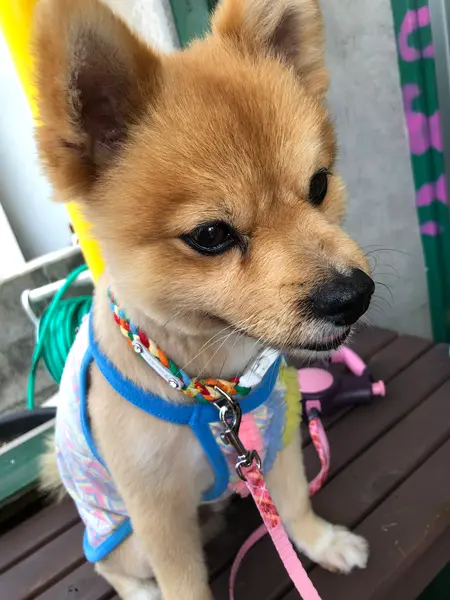 テラス席 で モグモグ