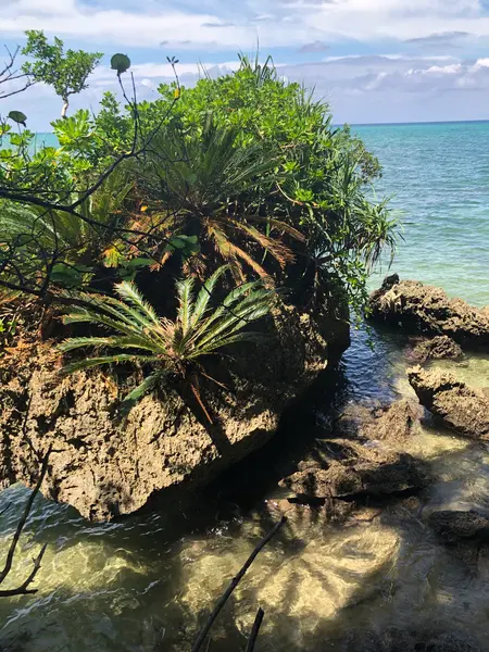 パワースポット