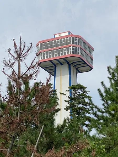 東尋坊タワーもご一緒に！