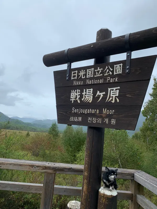 戦場ヶ原展望台