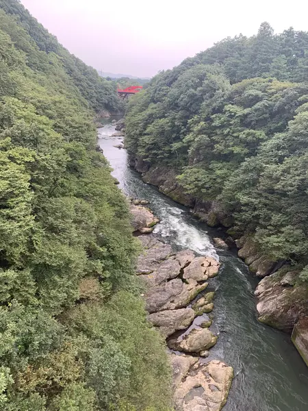 橋からの景色