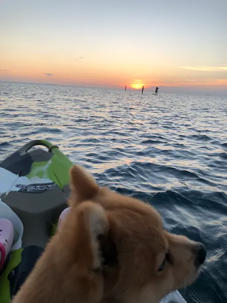 想い出になりました