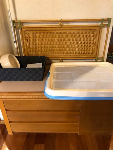 ワンチャングッズ