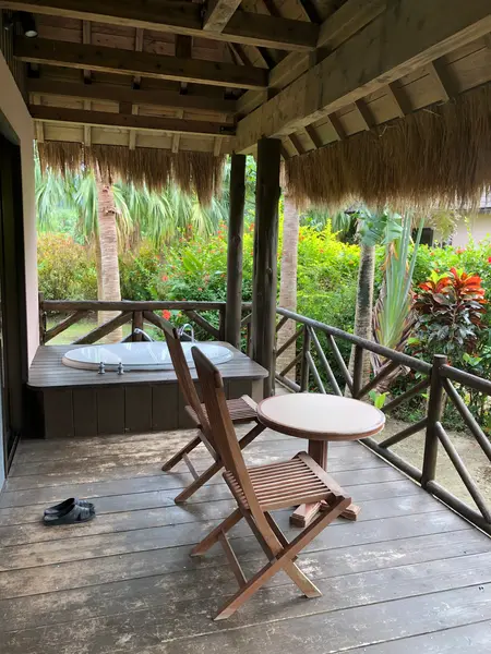 夜は虫で入れません