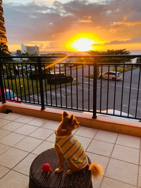 ベランダからのサンセット