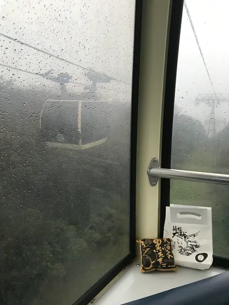 雨の中買いに行った黒たまご
