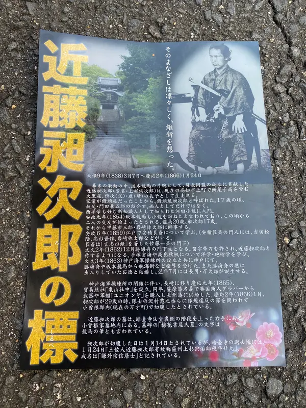 チラシ