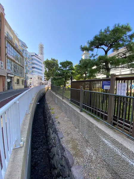 海側の護岸