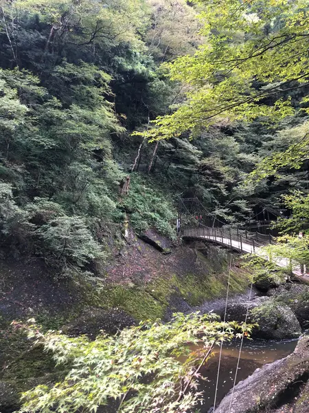 吊り橋