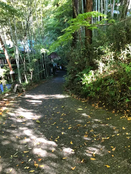 この坂を降りて