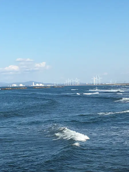 テラス席からの眺め