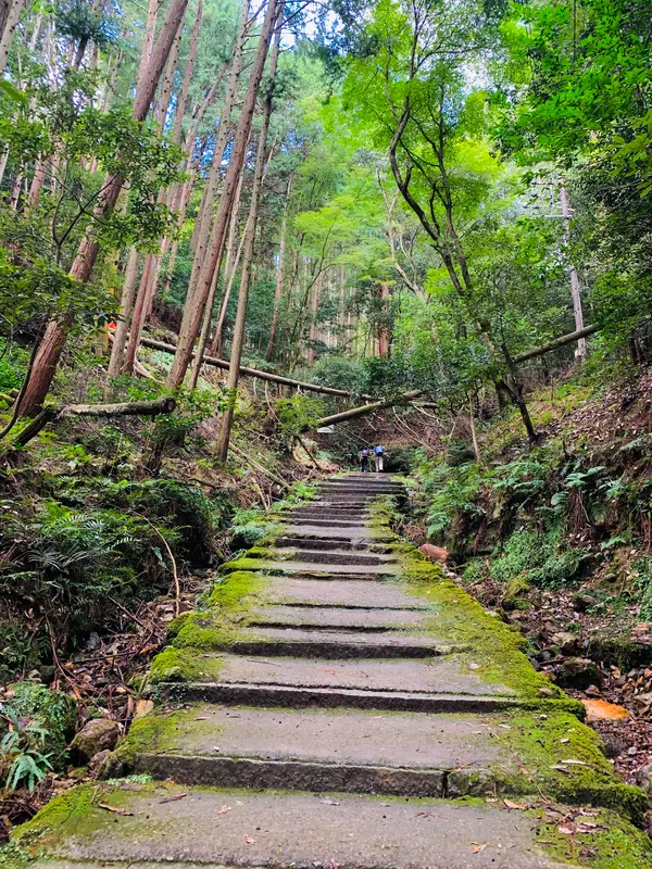 登山道