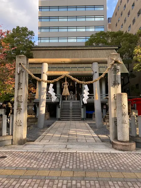 白神社…？