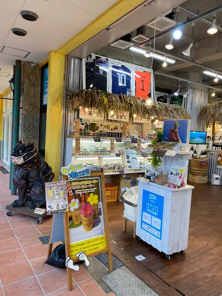 観賞用の小さいパイナップルが100円