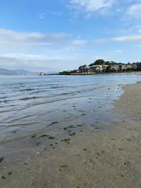 大鳥居近くの海を撮影📸