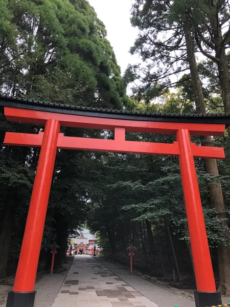 鳥居から続く参道