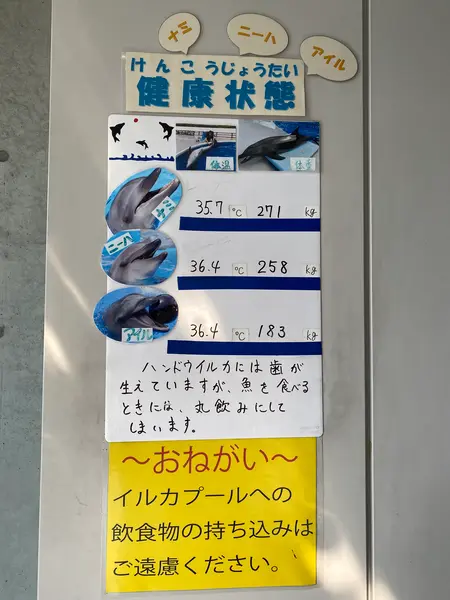 スポット内のおすすめ