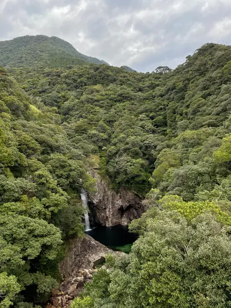 事前にナビを設定しておこう❗️