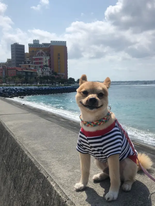 日向ぼっこ