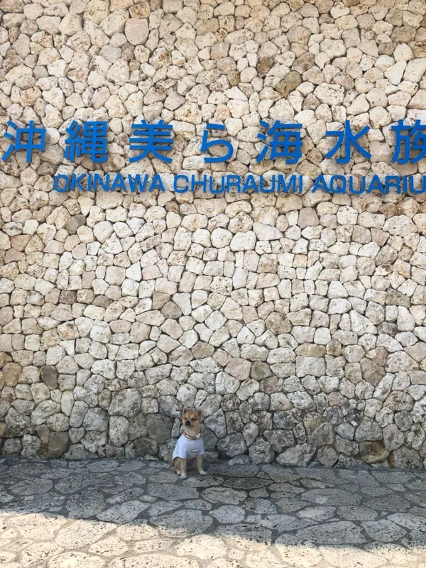 看板と