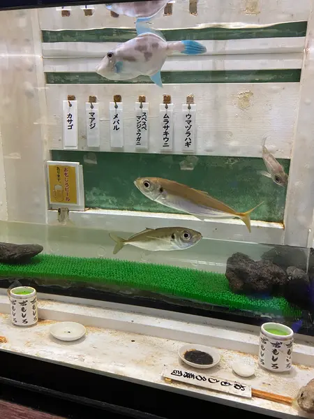 おもしろ水族館