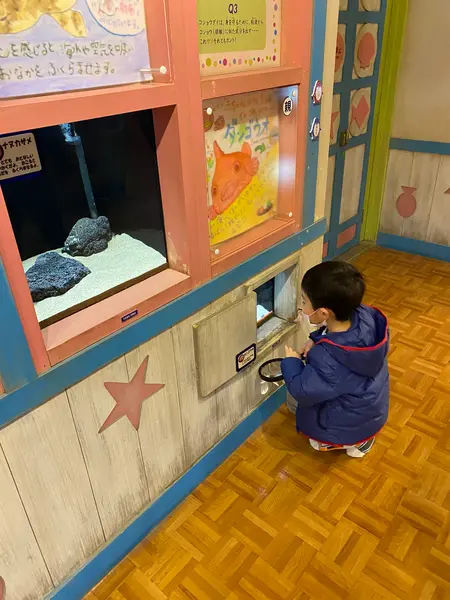 赤ちゃん水族館