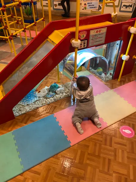 赤ちゃん水族館