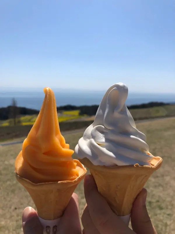 お花畑を見ながらソフトクリーム！