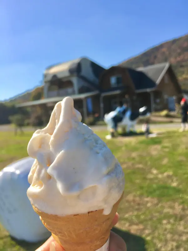 ジェラートが美味しい◎