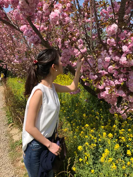 八重桜とともに