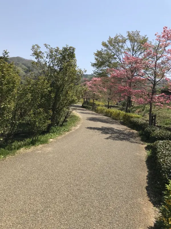 のどかな散歩道