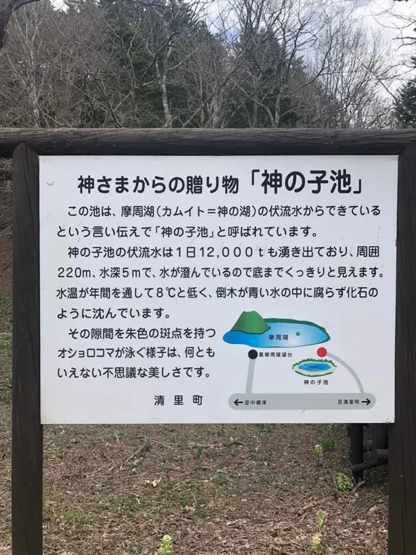スポット内のおすすめ