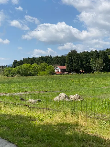 徒歩で行くのもおすすめ！