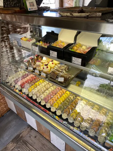 ショーケース