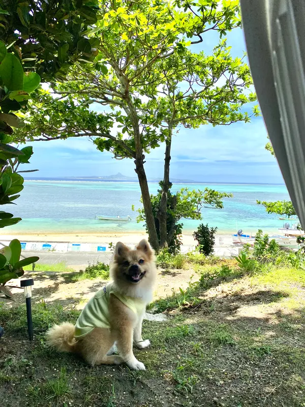 木陰で一休み