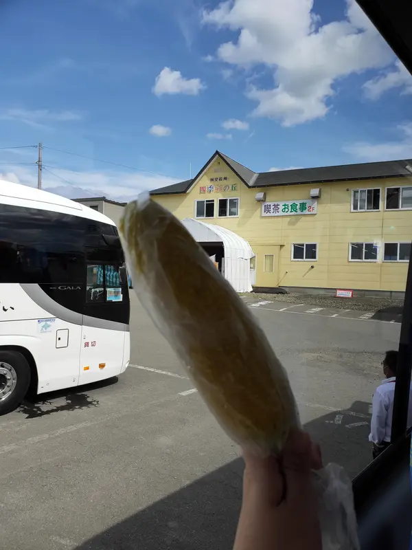 トウモロコシです