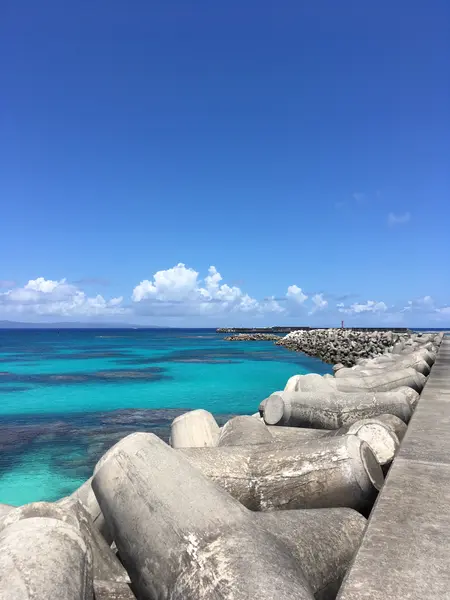 漁港！？