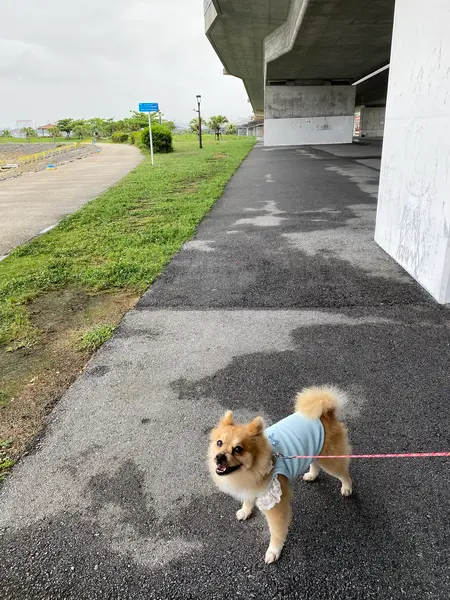 快適🎵