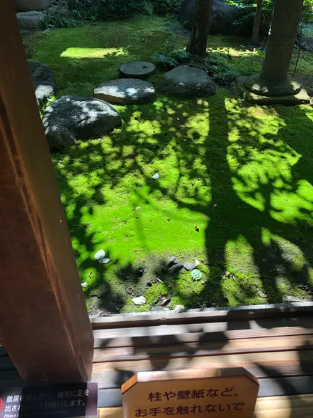 苔むす中庭
