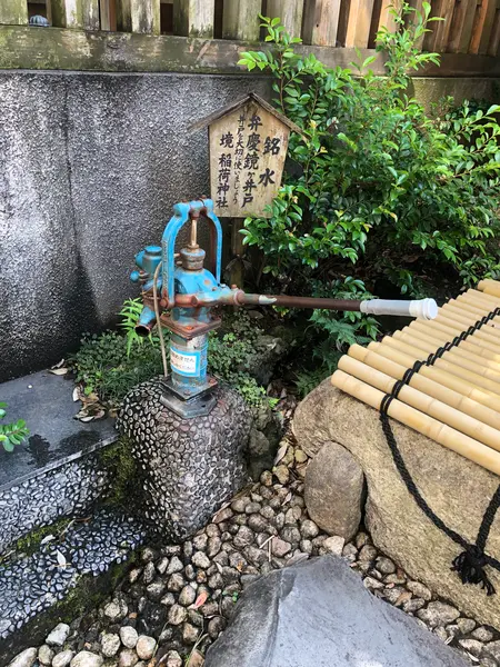 お散歩途中に