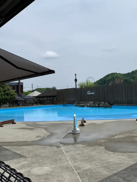 ドッグプール