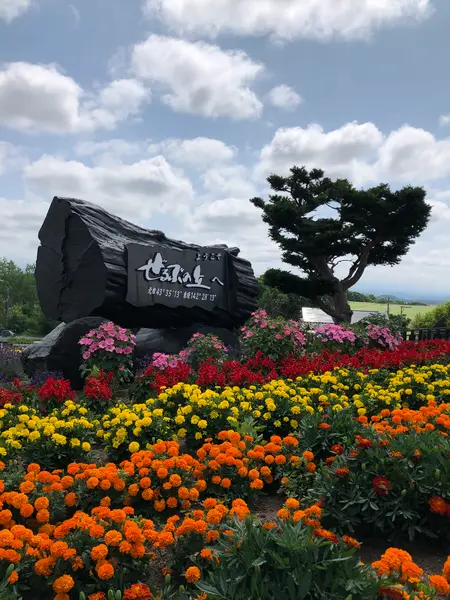 なんと...入園無料‼️