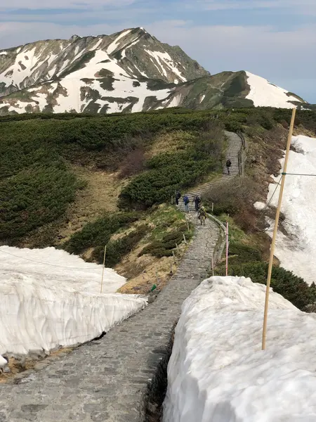 雷鳥を見つけるには