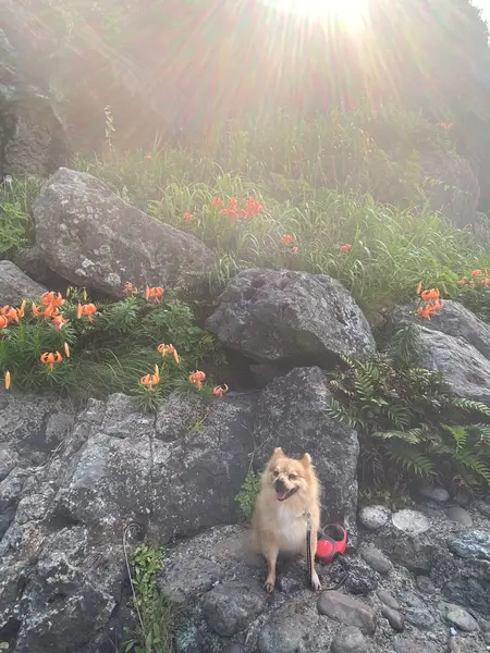 少し滝から上がった