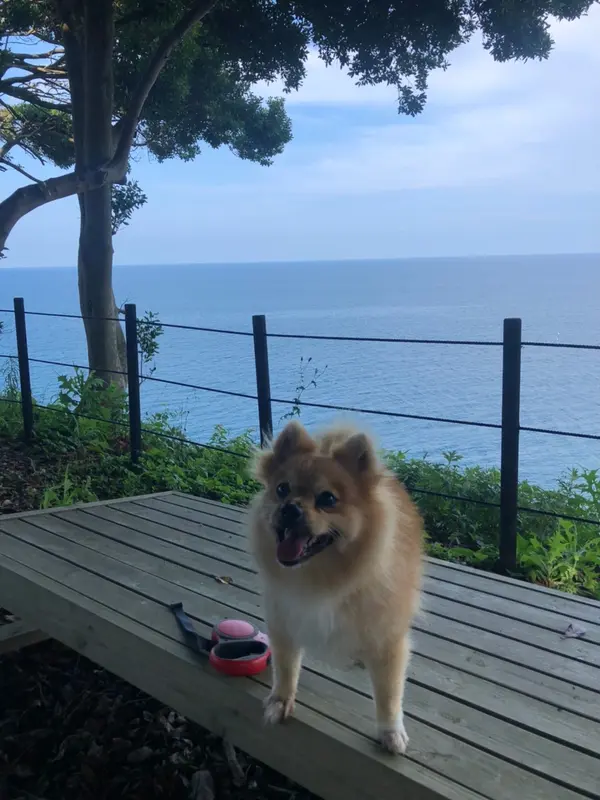 石川の最南端